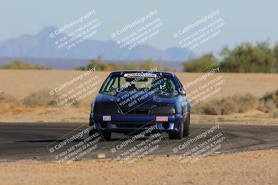 media/Oct-15-2023-Lucky Dog Racing Chuckwalla (Sun) [[f659570f60]]/4th Stint Turn 4 Tree of Life/